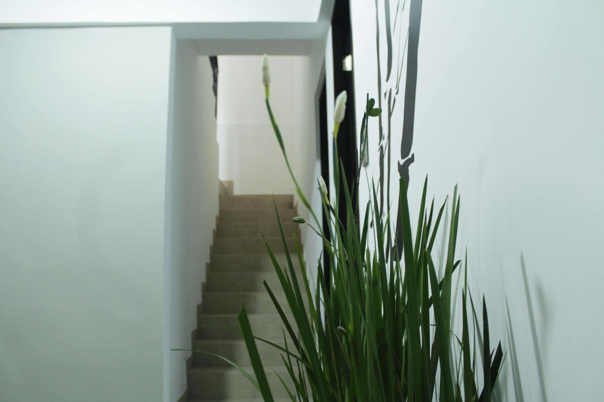 מקסיקו סיטי Hostal Be Condesa מראה חיצוני תמונה